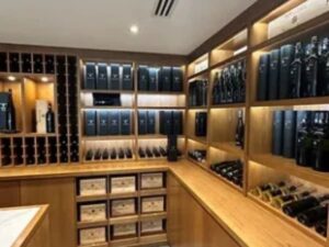 9 Smart Ways Fondis Winemaster Transforms Your Wine Cellar Experience